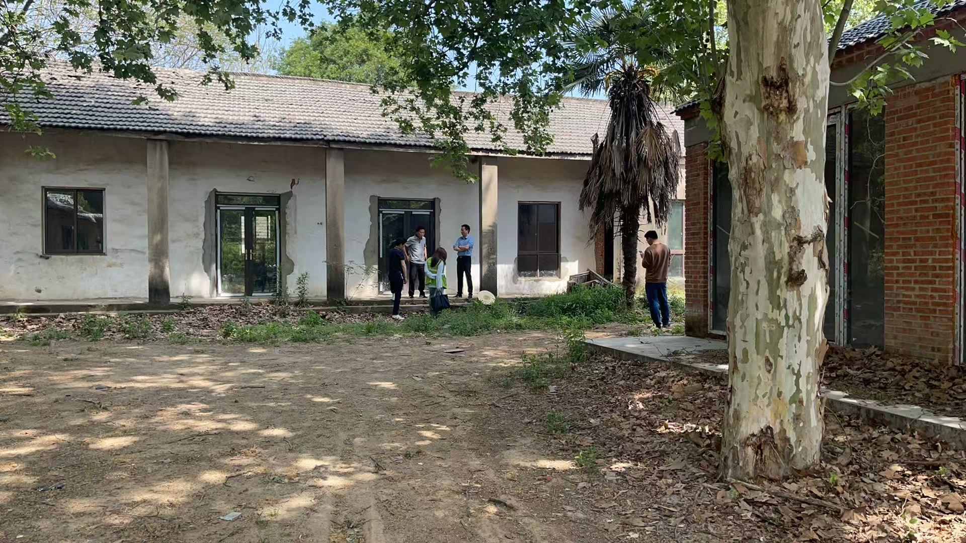 百峰茶博园现场沟通及补充调研.jpg