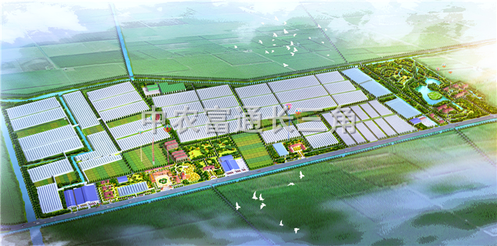 上海光明崇明番茄产业园详细规划(图1)