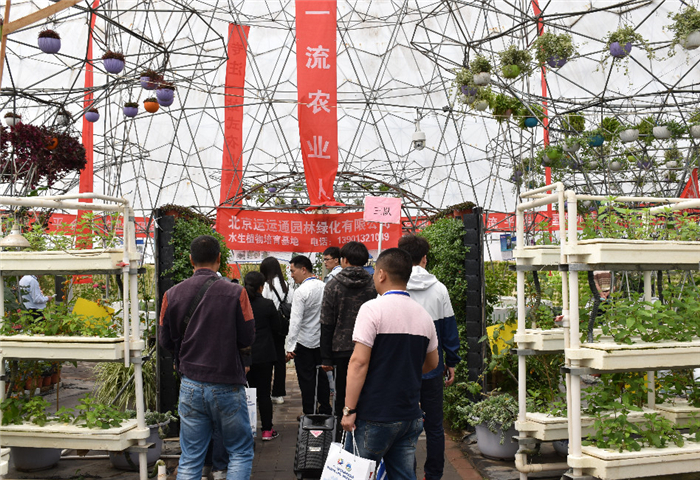 喜报！第九届北京（通州）国际都市农业科技节荣获“特色展示设计展会”称号(图7)